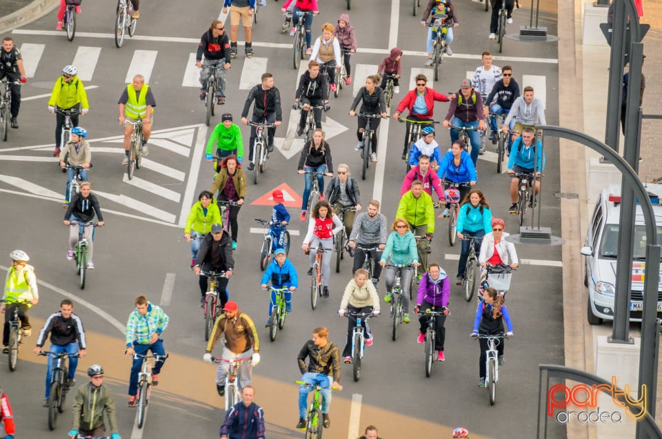 Critical Mass, Oradea