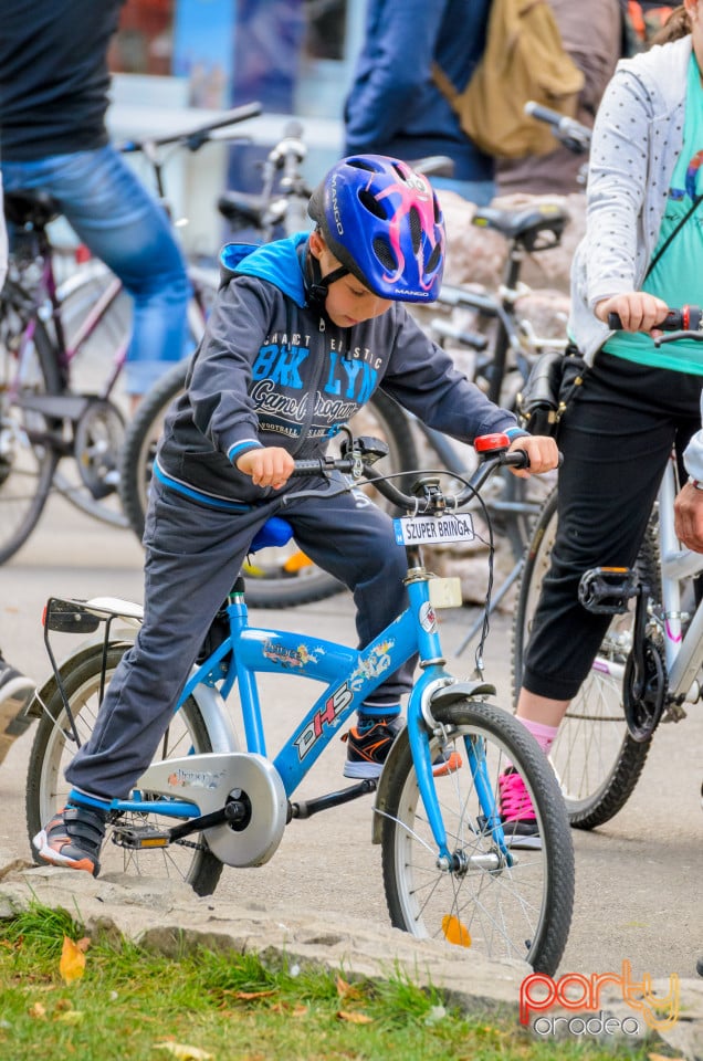 Critical Mass, Oradea