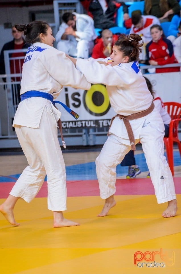 Demonstratia micilor Judoka, Arena Antonio Alexe