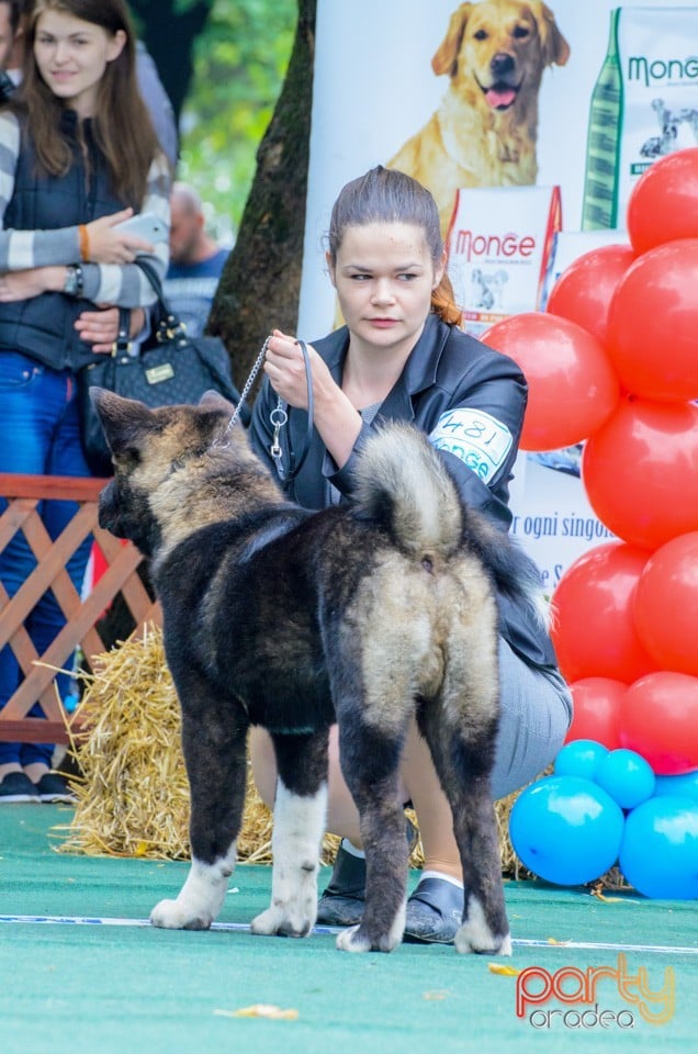 Expoziţie canină, Oradea
