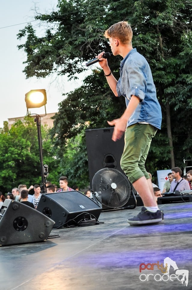 Festivalul luminii, Oradea
