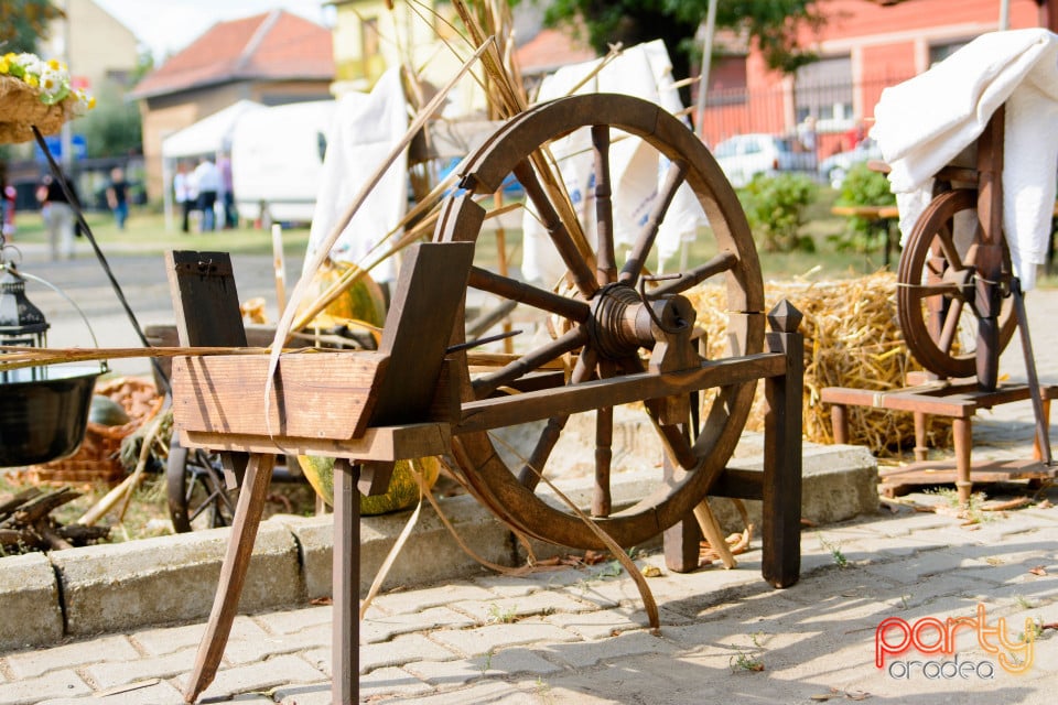 Festivalul Mustului, Oradea