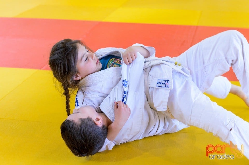 Micii judoka la Examen de Mon, Liceul cu Program Sportiv