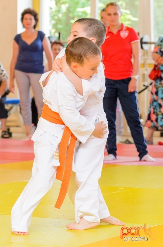 Micii judoka la Examen de Mon, Liceul cu Program Sportiv