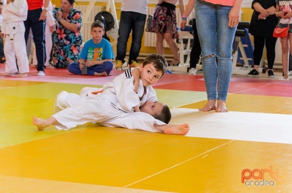 Micii judoka la Examen de Mon, Liceul cu Program Sportiv