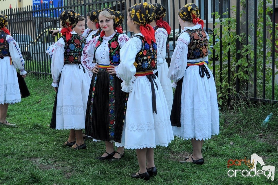 Targul Palincarilor, Oradea